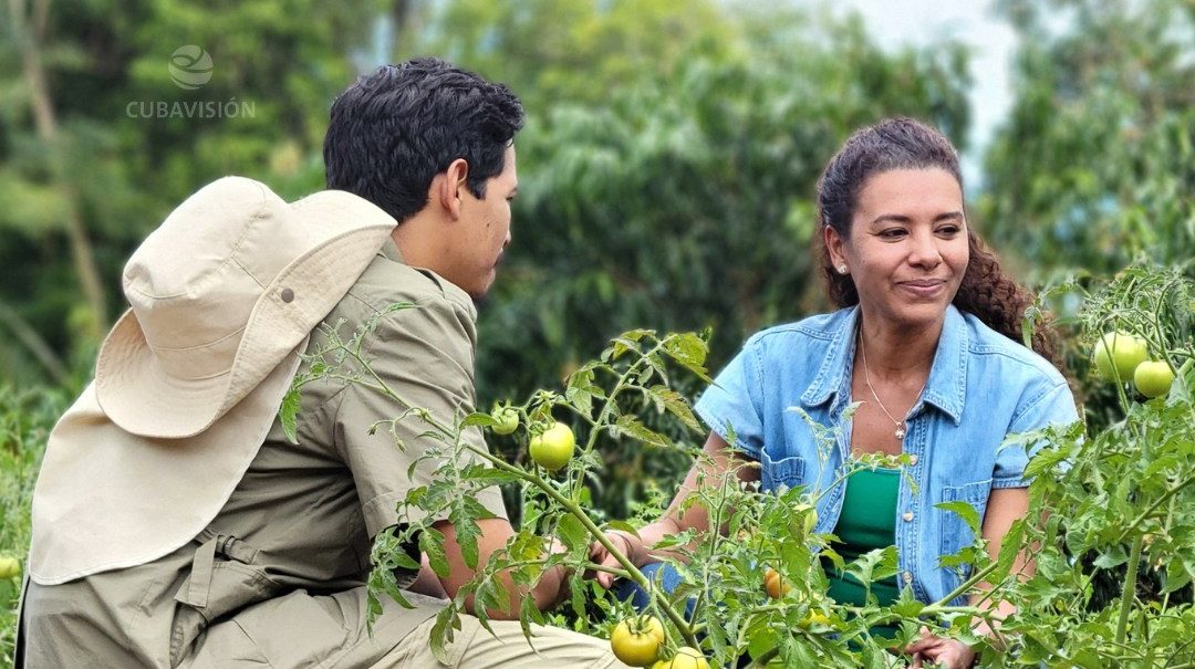 Cubavisión anuncia en exclusiva el estreno de «Ojo de Agua», la nueva telenovela cubana para diciembre